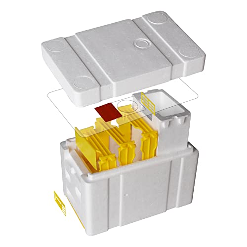 1set Nuc Box for Bees,Foam Beehive Kit with 3 Plastic Frames & 1 Feeder, Queen Bee Mating Rearing Hives Essential Beekeeping Supplies