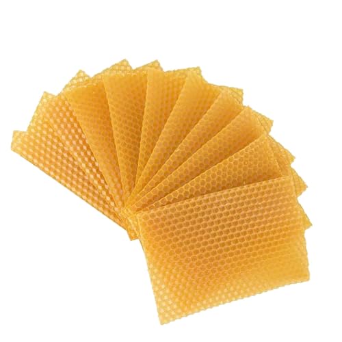 10 Pcs Beehive Wax Frame, Beeswax Sheets Sheets Honeycomb Wax Coating Base Board, Beekeeping Foundation Beeswax Making DIY Candle Maker (Yellow, One Size)