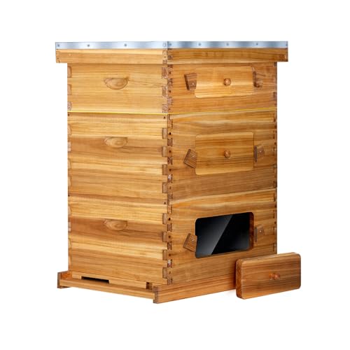 BeeCastle 10-Frame Langstroth Beehive with Windows, Beeswaxed Coated Bee Hive for Beginners with Beehive Frames and Waxed Foundations (2 Deep Bee Boxes & 1 Medium Super Bee Box) - size: 2 Deep & 1 Medium Boxes