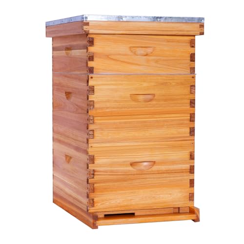 10 Frame Langstroth Beehive Kit Dipped in Beeswax Bee Hives with 2 Deep Bee Box and 1 Medium Bee Hive Box with Frame and Foundation(Unassembled) - size: 3 Layer