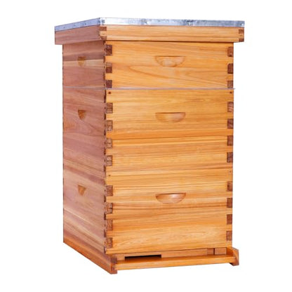10 Frame Langstroth Beehive Kit Dipped in Beeswax Bee Hives with 2 Deep Bee Box and 1 Medium Bee Hive Box with Frame and Foundation(Unassembled) - size: 3 Layer