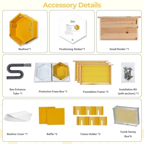 Observation Beehive Starter Kit with 3 Frames & 6 Honeycomb Trays, Wall-Mounted Hexagon Bee Hive with Acrylic Viewing Window, Medium Size for Indoor, Garden, or Educational Beekeeping