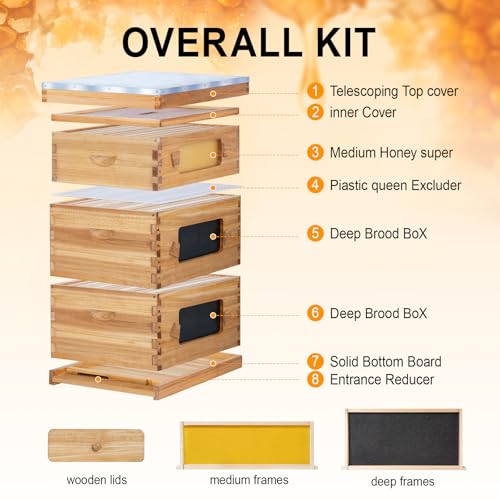10 Frame Bee Hive Starter Kit with Windows, Beeswax Coated Langstroth Bee Hives Boxes for Beekeepers with Beehive Frames and Waxed Foundations (2 Deep Brood Bee Box & 1 Medium Super Box) - size: 10 Frames 3 Layers