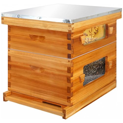 Honey Lake 10 Frame Langstroth Beehive Starter Kit – Wax-Dipped Bee Hive with Viewing Windows, Deep Brood Box, Medium Super, Beehive Frames & Waxed Foundation Sheets - size: 2 Layers