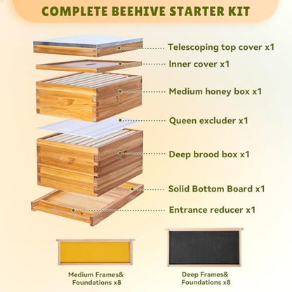 8 Frame Bee Hive Complete Beehive Kit Dipped in Beeswax Include Beehive Frames and Waxed Foundation Sheets for Beekeeping (1 Deep Brood & 1 Medium Super Bee Boxes) - size: 2 layer