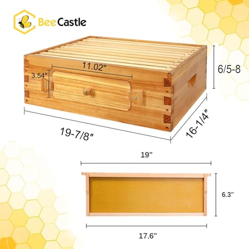 BeeCastle 10 Frame Medium Bee Hive Box, Langstroth Beehive Box, Beeswax Coated Medium Bee Box Sections of Wood for Beehives with Beehive Frames and Beeswaxed Foundations(Unassembled) - size: 1 Super Box