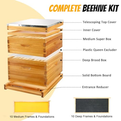 Honey Lake 10-Frame Beehives Starter Kit – Complete Langstroth Hive with 1 Deep Brood Box & 1 Medium Super, Beeswax-Coated, Includes Beehive Frames & Waxed Foundation Sheets