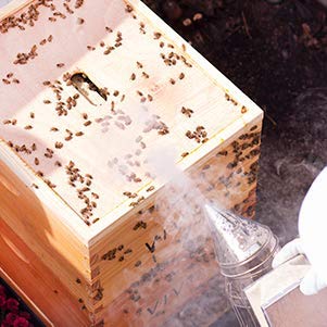 New Bee Hive Smoker Stainless Steel w/Heat Shield Beekeeping Equipment | Heat Shield, Beekeeping Equipment, Tool Kit - size: Medium