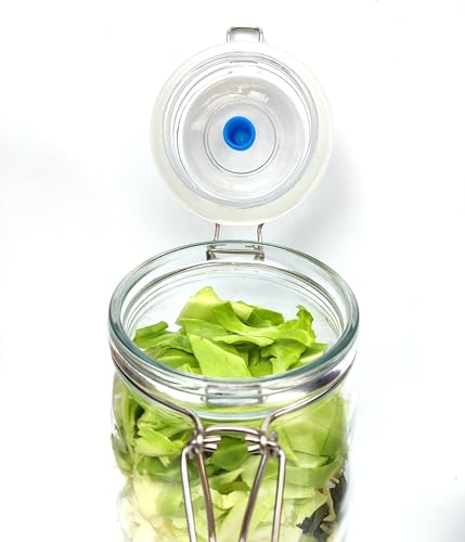 2L Fermentation Jar 2 Pack Fermentation kit with Fermenting Weights and Airlocks Pickle Jar for Fermenting,Pickling,Canning,Mead Making (2 Liter)