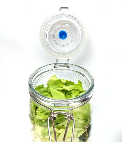 2L Fermentation Jar 2 Pack Fermentation kit with Fermenting Weights and Airlocks Pickle Jar for Fermenting,Pickling,Canning,Mead Making (2 Liter)