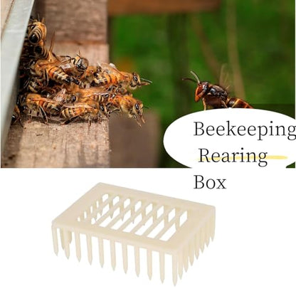 Cyrank Beekeeping Rearing Box, 20PCS Queen Marker Cage Clip Bee Catcher Beekeeper Beekeeping Tools Equipment Beekeeping Supplies Beekeeper Equipment Tool