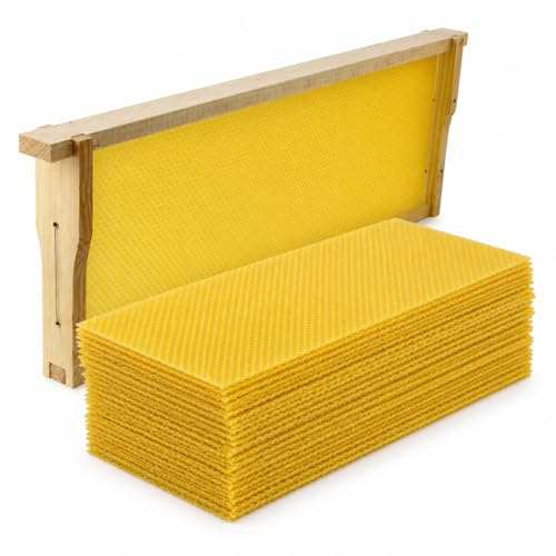 30PCS Bee Hive Foundations, Beeswax Comb Sheets for Beekeeping, Deep Nest Honeycomb Wax Frame, Waxing Beekeeping Equipment Supplies for Hive Frames 7.68"x16.34"