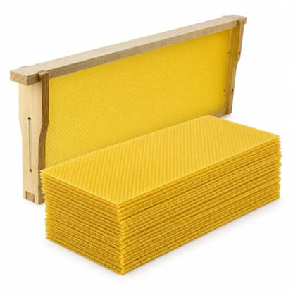 30PCS Bee Hive Foundations, Beeswax Comb Sheets for Beekeeping, Deep Nest Honeycomb Wax Frame, Waxing Beekeeping Equipment Supplies for Hive Frames 7.68"x16.34"