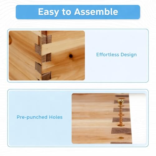 10 Frame Deep Beehive Box, Deep Brood Box Dipped in Beeswax, Wax Coated Beehive Box for Beginner Beekeeper, Screws Included, Unassembled (No Frames or Foundations),