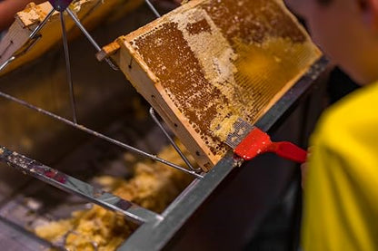 Bee Keeping Uncapping Fork, 18-Pin Stainless Steel Honey Extraction Tool