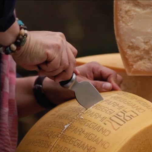 BOSKA Parmesan Knife Pro 110mm - Premium Quality - Stainless Steel - for Hard Cheeses Like Parmesan - 1896 Collection - style: Parm knife