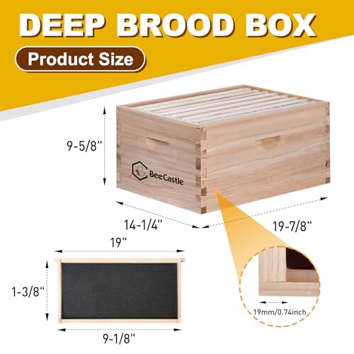 BeeCastle 8 Frame Deep Brood Bee Hive Box, Langstroth Honey Bee Hive Include Beehive Frames and Waxed Foundations (Unassembled) - size: 8 Frame