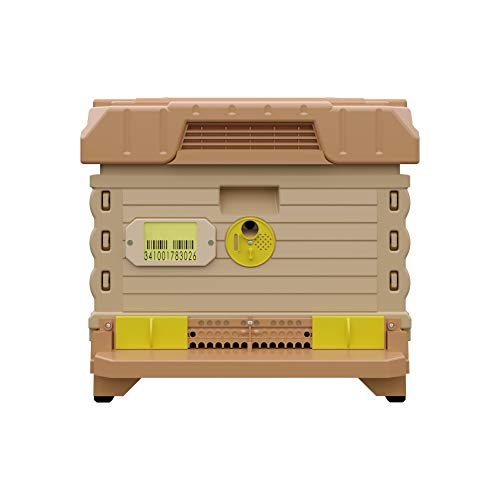 Apimaye Ergo Insulated 10 Frame Bee Hive Set [NO Frames Included] (Single Hive, Tan Body Yellow Entrance) - color: Tan Body Yellow Entrance