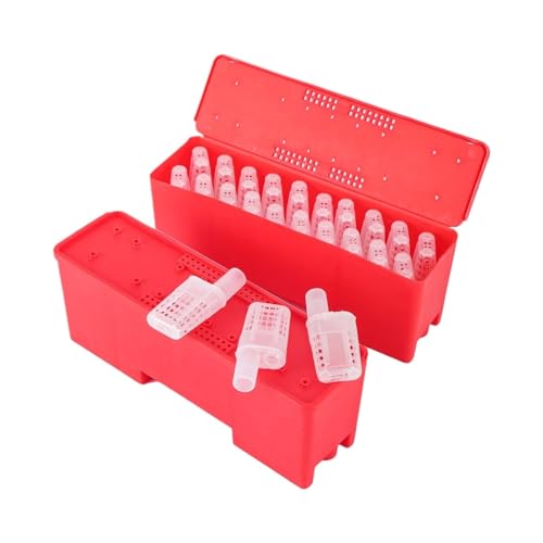 Queen Bee Cage Beekeeping Tools Bee Cage Transparent Color Plastic King Cage Queen Rearing Prisoner King Cage Escape Box for Beekeeping Supplies