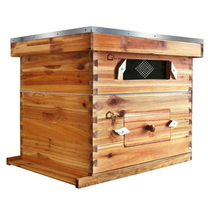 10 Frame Complete Beehive Kit Wax Coated Langstroth Hive for Beginner Includes Deep Medium Box with Acrylic Window Frames & Foundation for Beekeeping