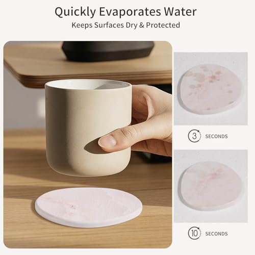 Diatomaceous Earth Coasters Set of 4, Super Absorbent Quick-Dry Heat-Resistant Drink and Coffee Coasters, Modern Stone Irregular Design for Kitchen Counter and Coffee Table, Pink - color: Pink Coaster