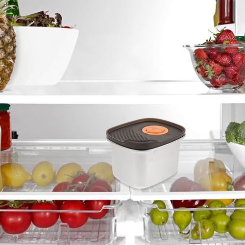 Stainless Box - 500ml Cheese Storage Container With Airtight Lid For Fridge Food Preservation And Storage - Space-Saving - size: 11.60X9.50X7.50CM