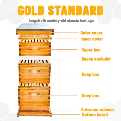 Gold Standard 8 Frame Bee Hive Beeswax Coated Includes Beehive Frames and Foundations (2 Deep Boxes & 1 Medium Box)
