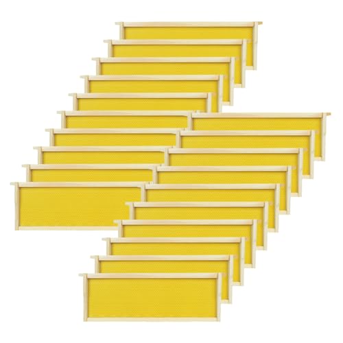 Medium Beehive Frames with Wax Foundations 20 Pack Beeswax Coated Foundations 6-1/4-Inch Beekeeping Supplies - size: 20 Pack Medium Beehive Frames
