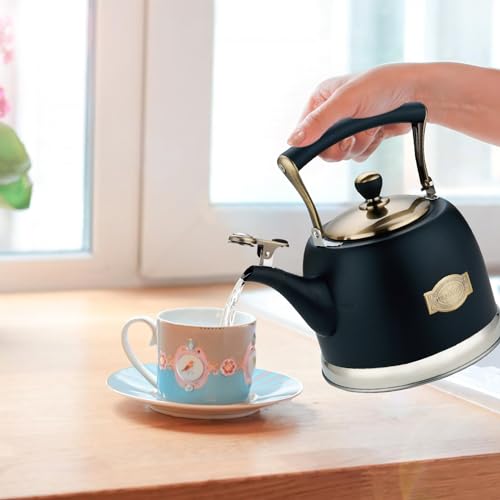 Tea Kettle Stainless Steel Teapot, Stainless Steel Teakettle for Stove Top with Heat Proof Ergonomic Handle 3.0 Quart - color: Black, size: 3 Quarts