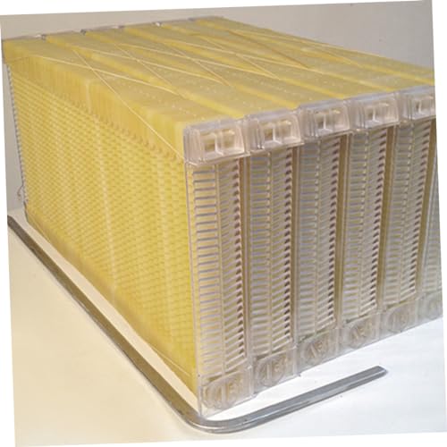 BESPORTBLE 3pcs Honeycomb Foundation Beehive Foundation Dadant Beekeeping Supplies Plastic Beehive Accessory