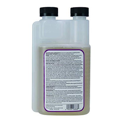 Five Star Star San 16 Ounce Brew Sanitizer and FastRack One Gallon Wide Mouth Jar Fermentation Kit (Set of 2)