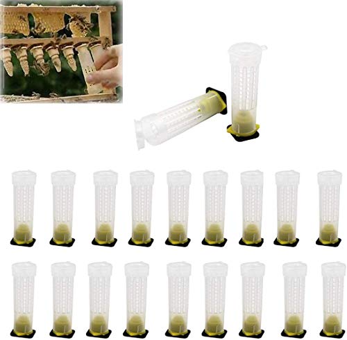 Bee Queen Cage Rearing Cup 20 Sets Beekeeping Equipment Insects Tools