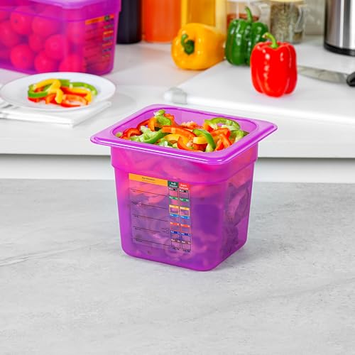 Restaurantware Food Storage Container 1 Pack of 2.3 qt Plastic Stackable Microwave-Safe Bin Dishwasher Safe Freezer Safe Purple Containers for Kitchen Storage - size: 1/6 Size