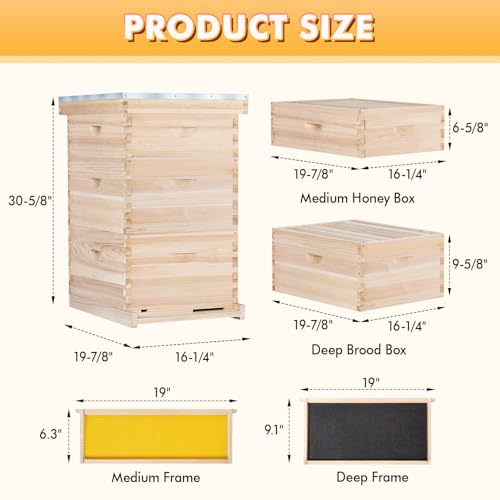 POLLIBEE Bee Hive,10 Frame Beehive Boxes Starter Kit, Langstroth Beehives Include 2 Deep Hive Boxes and 1 Medium Super Bee Box, Include Bee Hive Frames and Wax Foundation Sheets - size: 1 Super+2 Deep