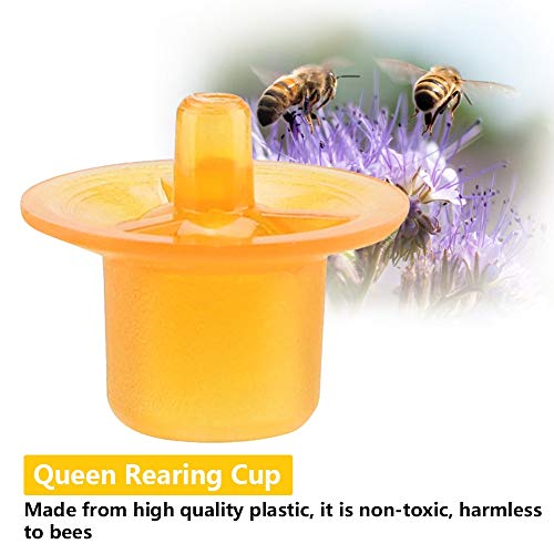 AUNMAS 50pcs Beekeeping Queen Rearing Bee Cups, Queen Cell Cups Cell Cups Bee Keeper Equipment Tool Apiculture Supply Black (Orange) - color: Orange