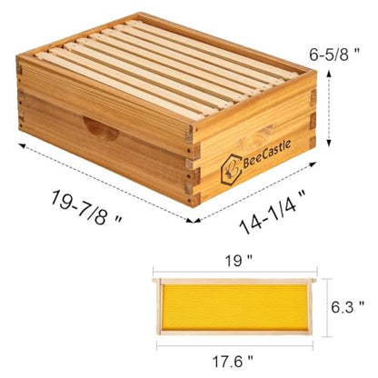 BeeCastle 8 Frame Medium Super Bee Hive Box, Langstroth Honey Bee Hive Dipped in 100% Beeswax Include Beehive Frames and Wax Foundations (Unassembled) - size: 8-Frame