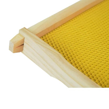 Medium Beehive Frames with Wax Foundations 10 Pack Beeswax Coated Foundations 6-1/4-Inch Beekeeping Supplies - size: 10 Pack Medium Beehive Frames