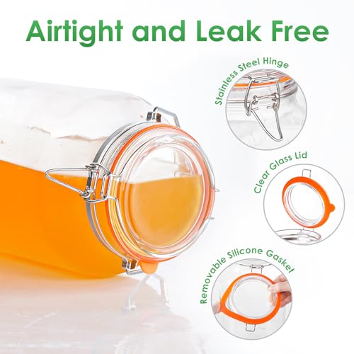 Qianfenie 1.5 Gallon Glass Jar with Airtight Lid Wide Mouth, Gallon Storage Jar with Stainless Steel Handle - Large Glass Food Storage Container with Lid for Flour, Sugar, and Dog Treats