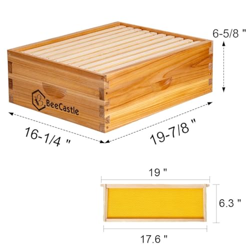 BeeCastle 10 Frame Medium Super Bee Hive Box, Langstroth Honey Bee Hive Dipped in 100% Beeswax Include Beehive Frames and Wax Foundations (Unassembled) - size: 10-Frame
