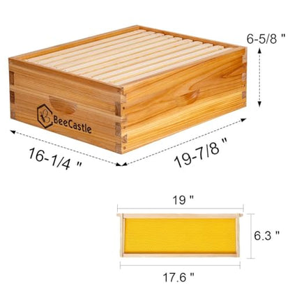 BeeCastle 10 Frame Medium Super Bee Hive Box, Langstroth Honey Bee Hive Dipped in 100% Beeswax Include Beehive Frames and Wax Foundations (Unassembled) - size: 10-Frame