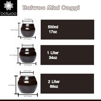 Earthenware Onggi Korean Traditional Clay Jar Mini Ceramic Canister/Handmade Food Sauce Storage Container for Tea, Coffee Bean, Salt/Breathing Clay Pot Kimchi Fermentation Crock (1L(34oz)) - size: 33.8 Ounces