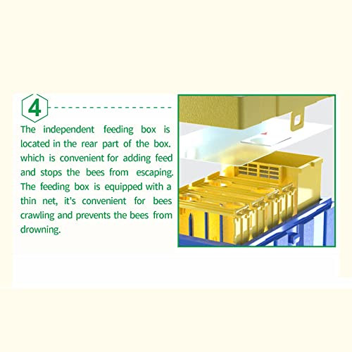 Queen Nuc Box Bee Mating Nuc Hive Bee House Mini Bee Hives Box Queen Rearing Box for Beekeeping (Blue)
