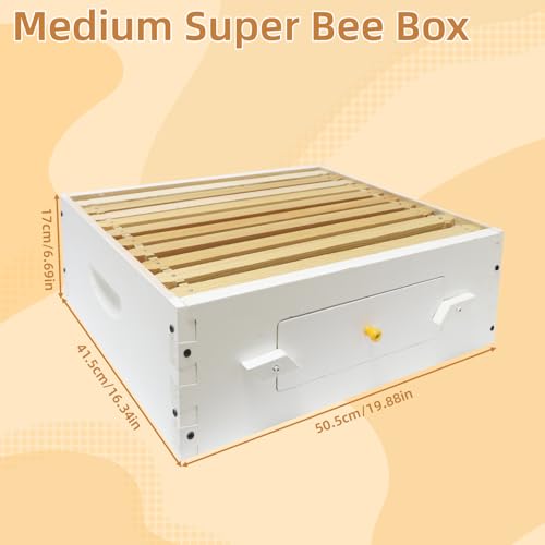 BeeTech 10 Frame Beehive Middle Box Super Bee Box Painted for Sale Bee Hives with Windows - size: Medium Box