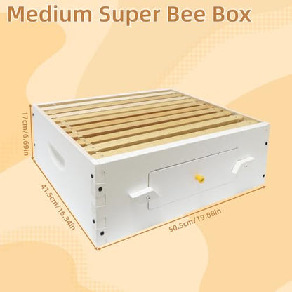 BeeTech 10 Frame Beehive Middle Box Super Bee Box Painted for Sale Bee Hives with Windows - size: Medium Box