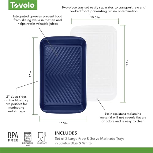 Tovolo Steak Marinating Container Large Grill Marinade and Prep Tray Set for Meat Veggies Burgers, Dishwasher Safe BBQ Marinating Tray with Cover for Thawing Prepping or Serving 17x10.5 in