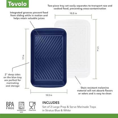 Tovolo Steak Marinating Container Large Grill Marinade and Prep Tray Set for Meat Veggies Burgers, Dishwasher Safe BBQ Marinating Tray with Cover for Thawing Prepping or Serving 17x10.5 in