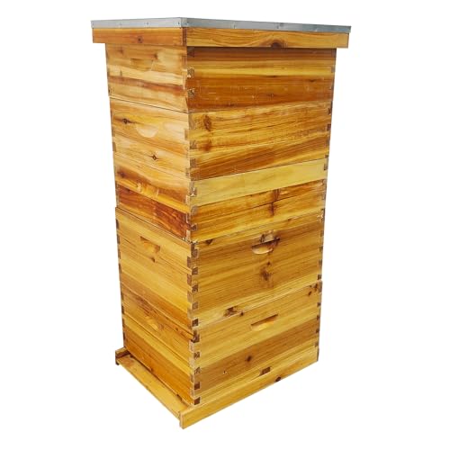 Beeswax Coated Bee Hive Starter Kit, 5-Layer Langstroth Beehive with 2 Deep and 3 Medium Super Boxes, 10-Frame Wax Dipped Wood Bee House Includes Metal Top Cover & Queen Excluder (No Frames)