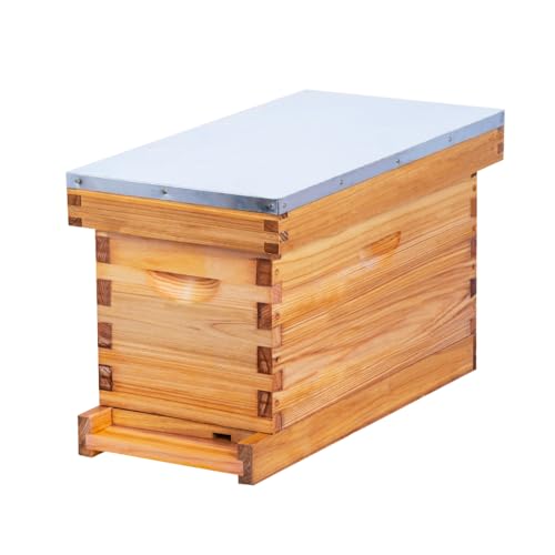 5 Frame Nuc Complete Bee Hive Kit Langstroth Beehive Box Dipped in Beeswax Include Beehive Frames and Waxed Foundation Sheets
