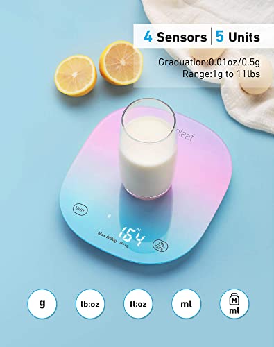 arboleaf Food Scale Rechargeable, Food Scales Digital Weight Grams and oz, Kitchen Scales Digital Weight, Smart Baking Measuring Food Scales for Kitchen Gift, Weight Loss, 0.1oz/0.5g, 22lbs/10kg - color: Colour