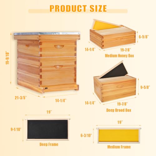 POLLIBEE 8 Frame Beehive Beeswax Coated Langstroth Bee Hives Include 1 Deep Boxes and 1 Medium Bee Box with Beehive Frames and Foundations(Unassembled) - size: 8 Frame-2L